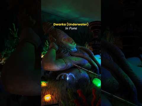 Dwarka Underware #dwarka #underwater #shorts #pune