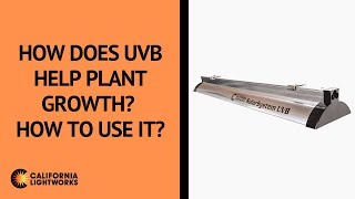 How does UVB help plant growth? How to use it?