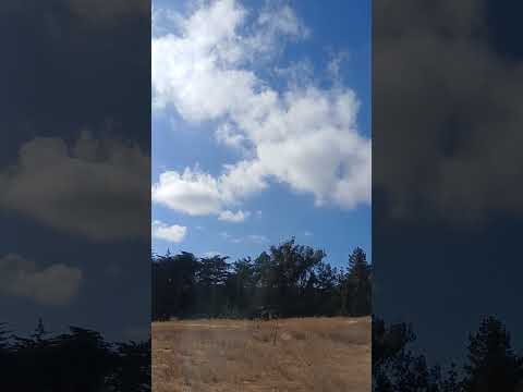 el tabo cielo