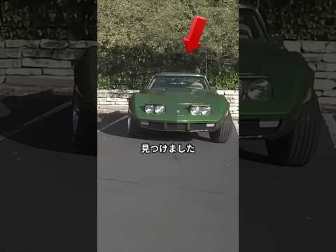 家族からのサプライズ!?