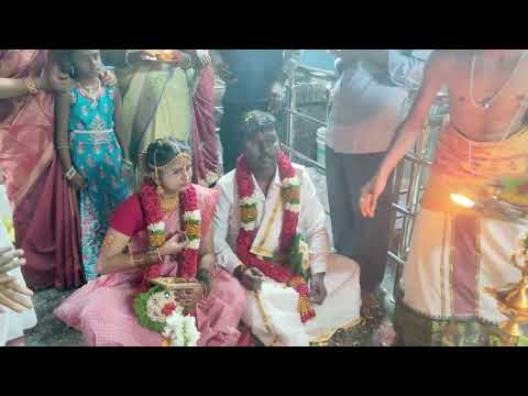 My Wedding Video - Pappu Weds Mav #wedding #tamilwedding #trending  #lovemelikeyoudo #MavPappu