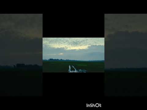 village view #viral #viralshort #nature #villagevlog #viralshort