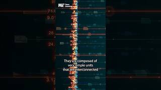 How does computer vision work? #shorts #computervision #computerscience #ai #artificialintelligence