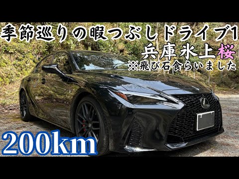 【独身男1人】穴場の満開桜を目指してLEXUS ISでドライブのはずが飛び石を食い散々な休日になったけど、奇跡の出会いもあった。