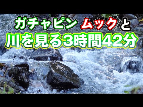 川を見るだけの3時間42分♪【作業用】【自然音・川・ASMR・勉強・瞑想・安眠】