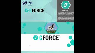 The Most Trustworthy Platforms for Buying Semen.