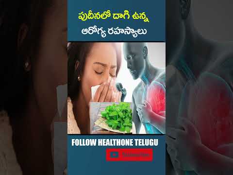 పుదీనాలో దాగి ఉన్న ఆరోగ్య రహస్యాలు | #shorts #trending #pudhina #homeremedies #pudina #ytshorts