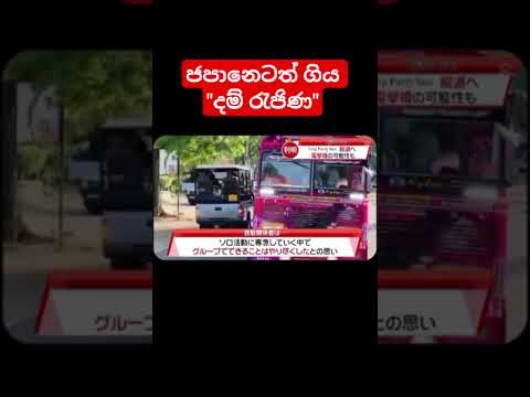 ජපන් ගියපු දම් රැජිණි.