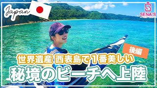 [Enjoy the stunning natural beauty of Iriomote Island] Kayaking to the island's most beautiful, u...
