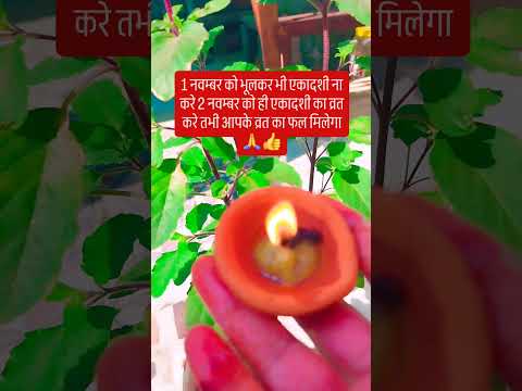 Do not observe Ekadashi on 1st November even by mistake, observe Ekadashi fast on 2nd November on...