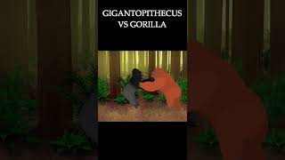 Gigantopithecus VS Gorilla  #animation #animação #animals #shorts #pivotanimator #animais #shorts