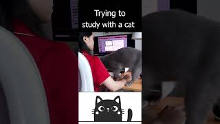 What will you do at this time? #lana  #cute  #studywithme  #study  #aesthetic  #cat #studywithcat