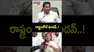 #Janasena Leader #Keerthana Strong Counter to #YSJagan  Comments | #YSRCP | TV5 News