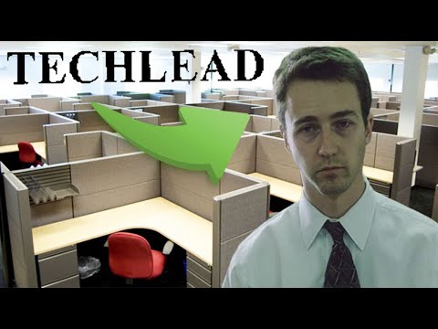 Why I quit a Tech Lead position and why it is better to be just a developer | Story time