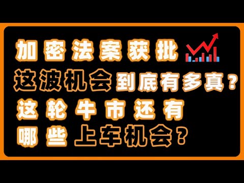 加密法案获批，机构巨头早已开始抢位，这波机会到底有多真？本轮牛市还有哪些上车机会？ 一个视频说清楚！NVDA,APLD,UNITY,TEM,GOOGLE,AMD,TESLA,META#trading
