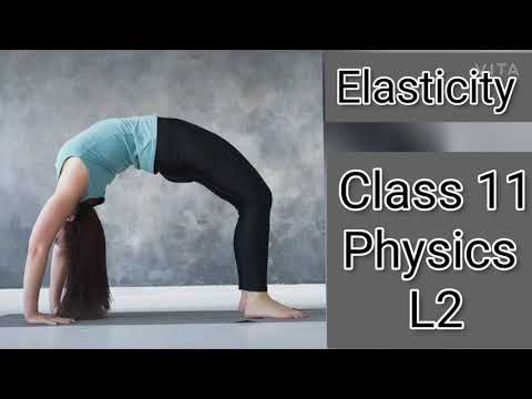 STRAIN| Cause of stress|Elasticity|Class-11 Physics| NEET, JEE|  #NEET2021 #JEE2021