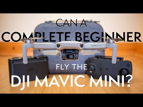 DJI Mavic Mini | 6 MONTHS LATER - Worth Buying in 2020? | Gear Review - Episode 1