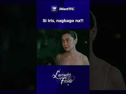 New year, new Iris? | #lavenderfields #jodistamaria #jerichorosales #janinegutierrez