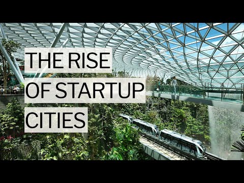 The Rise of Startup Cities