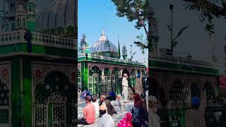 Nabi Nabi ya #shorts #viralvideo #youtubeshorts #kaliyarsharifdargah #dargahsarif #viralshort