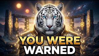 Lightworker, The Elders Are Trying To Warn You… A Major Arrest Is Coming (Urgent) | Lyran Council Me