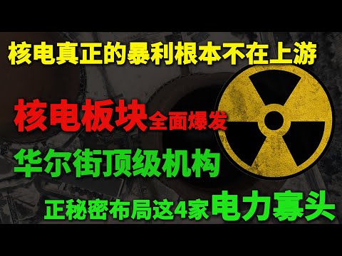 核电板块全面爆发，核电真正的暴利根本不在上游！华尔街顶级机构正秘密布局这4家电力寡头，深度拆解4家美股巨头，这波翻倍机会就在眼前！#美股 #核能 #华尔街