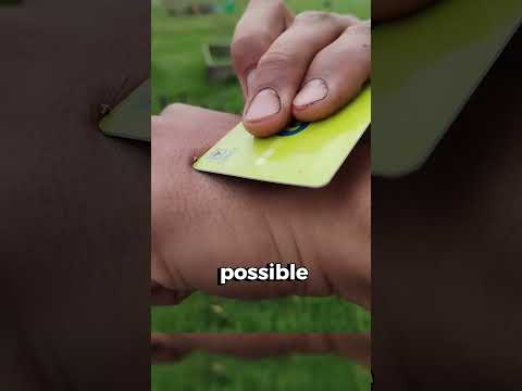What Should You Do After A Bee Sting ! 🐝🚑😮 #shorts