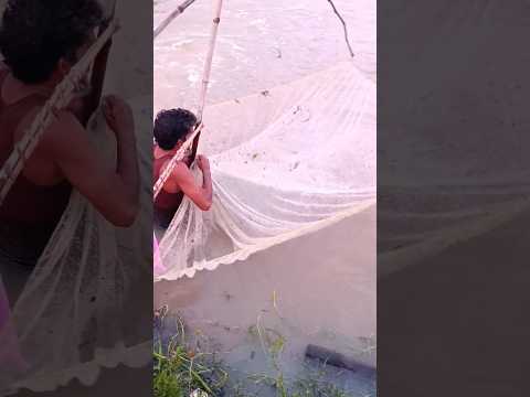 🐟😮#shortsvideo #trending #viral #funny #cinematic #shorts