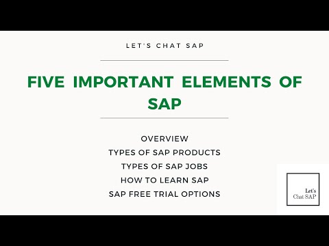 Five most important elements of SAP!