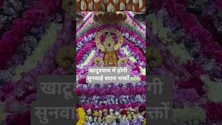 People's thoughts about Khatushyam #shorts #shortvideo #trending #shyam