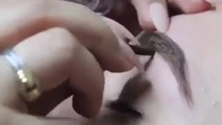 Flawless Brows