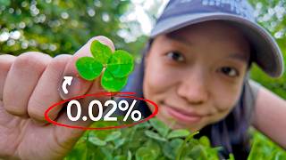 The Secret To Finding A Four-Leaf Clover