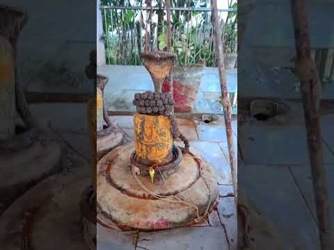radhe radhe Jai shree Ram mahakal