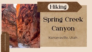 Hiking Spring Creek Canyon, Utah