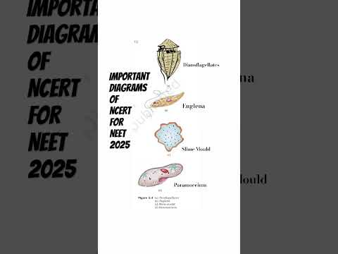BIOLOGY MOST IMPORTANT DIAGRAMS OF NCERT FOR NEET 2025 #motivation #doctor #neet #ncert #biology