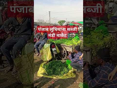 पंजाब लुधियाना सब्जी मंडी मार्केट