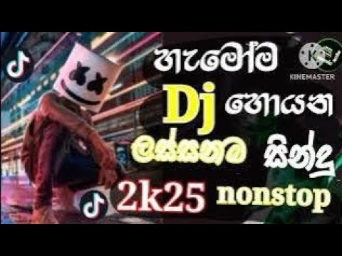 2025 new Song dj remix |#viralvideo_#visualizer| Tik tok trending song#dj nonstop | #sinhaladjremix