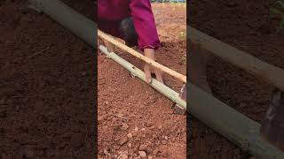 Using homemade tools improves the efficiency of vegetable cultivation.