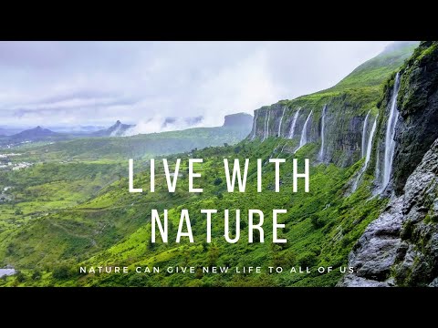 Live with nature and meditation