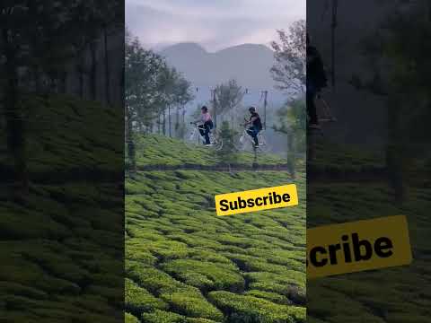 #skycycling #wayanad #keralatourism #travel