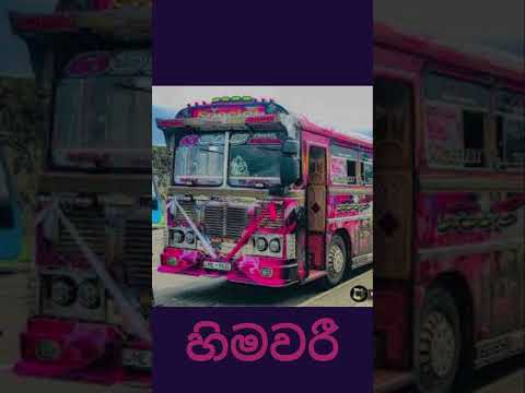 කාර්ටුන් වල නම් තියෙන බස්💕😍 #automobile #srilanka #touristattractions #touristbus #bus #love #travel