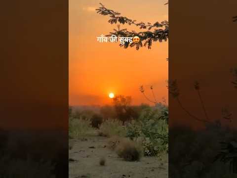 gaon#village🌿🌿🍃🍃,#feeling#beautiful#subscribetomychannel