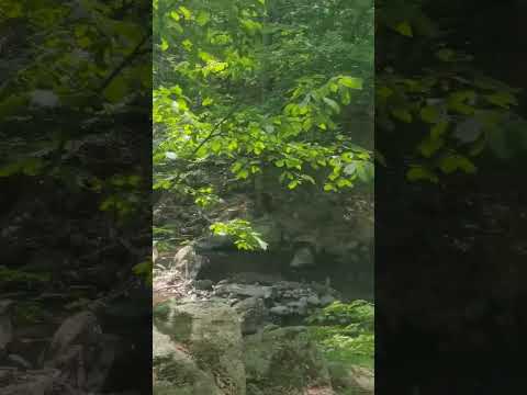 Hiking at Hacklebarney State Park In New Jersey #newjersey#hiking#trailstoazure#familyvlog#family