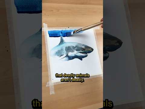 Fighting Sharks is unfair
