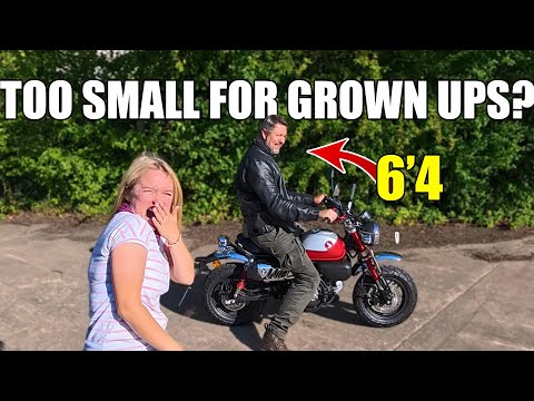 I’m 6’4 and Rode a Honda Monkey… Here’s the Truth