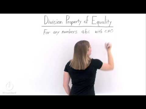 What's the Division Property of Equality?