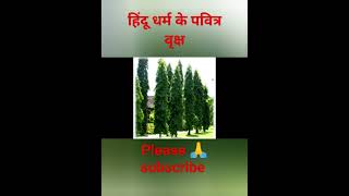 हिंदू धर्म के पवित्र वृक्ष #ashokkaped #ashok #trendingshorts #viral