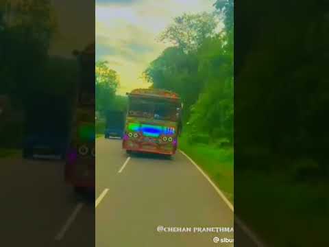 අපිත් කවදහරි දවසක 800 පාරේ ඩොටේ යනවා යකෝ හූ.....🤭🤣 #bus #capcut #tiktokviral
