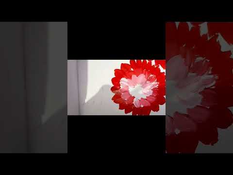#onestrokepaintingforbeginners #onestrokepainting #acrylicflowers #trendinginstagramvideo