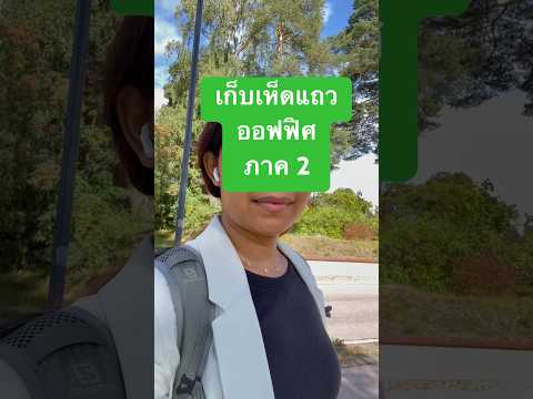อาหารมีให้กินเยอะแยะ #คนไทยในต่างแดน ไม่อดตายจ้า #สวีเดน มีเห็ดเยอะช่วงสิงหาจ้า #เก็บเห็ด #เข้าป่า